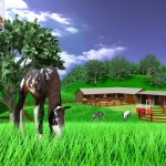 A Virtual Horse - Gra o Koniach
