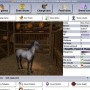 A Virtual Horse - gra o koniach